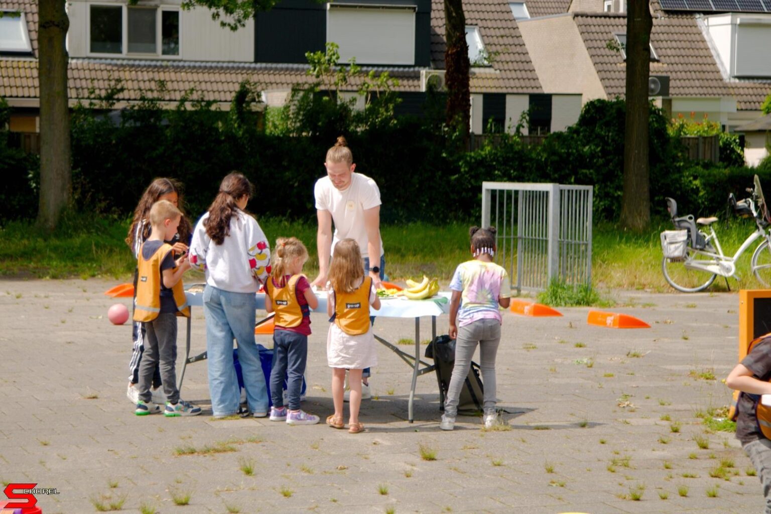 Gro-Up Pakt uit zomervakantie 2024